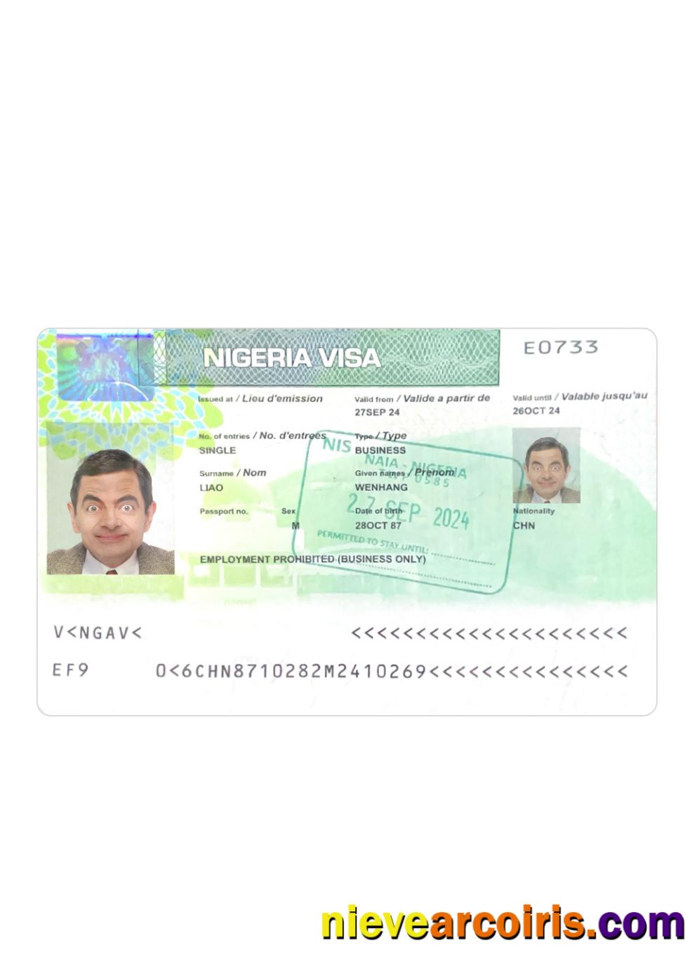 Nigeria visa 2024-present